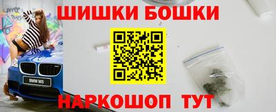 СК Боровичи