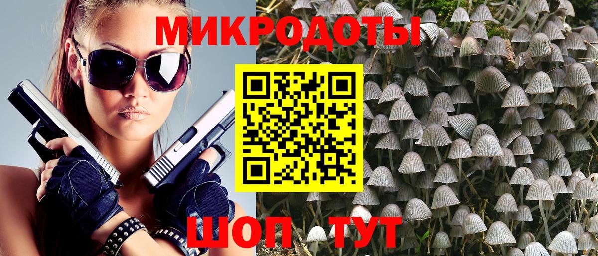 как найти   Вход с VPN  Брянск  Псилоцибиновые грибы Psilocybine cubensis 